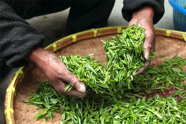 家庭菜園の植え付け量を計算！たった5ステップでもうムダにしない